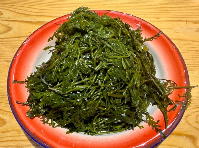 多肉盆底垫了它(多肉盆底部垫小石子可以吗)-第3张图片-花花知道网 多肉盆底垫了它(多肉盆底部垫小石子可以吗)-第3张图片-花花知道网