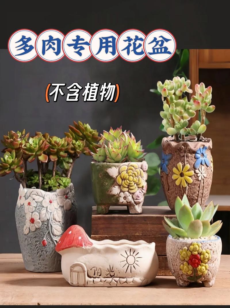 多肉盆底垫了它(多肉盆底部垫小石子可以吗)-第7张图片-花花知道网 多肉盆底垫了它(多肉盆底部垫小石子可以吗)-第7张图片-花花知道网