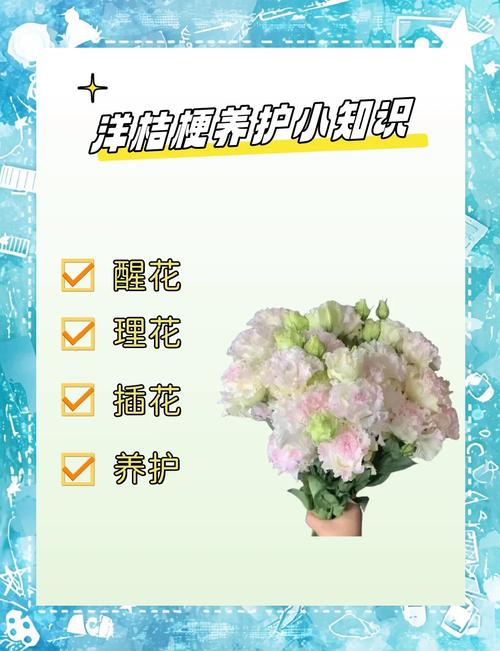 洋桔梗的养殖方法和注意事项(洋桔梗的养殖方法和注意事项有哪些)-第3张图片-花花知道网 洋桔梗的养殖方法和注意事项(洋桔梗的养殖方法和注意事项有哪些)-第3张图片-花花知道网