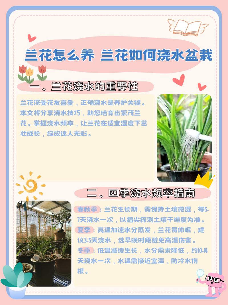 春兰怎么浇水(春兰浇什么水)-第7张图片-花花知道网 春兰怎么浇水(春兰浇什么水)-第7张图片-花花知道网
