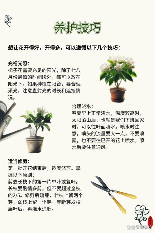 栀子花怎么换盆(栀子花怎么换盆移栽)-第4张图片-花花知道网 栀子花怎么换盆(栀子花怎么换盆移栽)-第4张图片-花花知道网