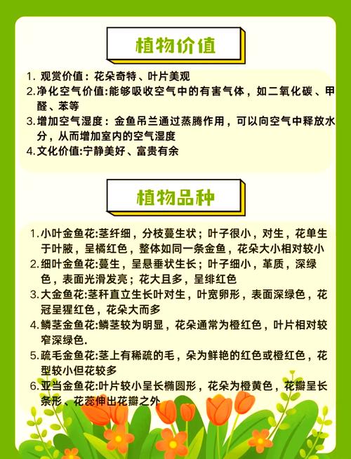 吊兰怎么养长得好(吊兰怎么养更旺盛)-第2张图片-花花知道网 吊兰怎么养长得好(吊兰怎么养更旺盛)-第2张图片-花花知道网
