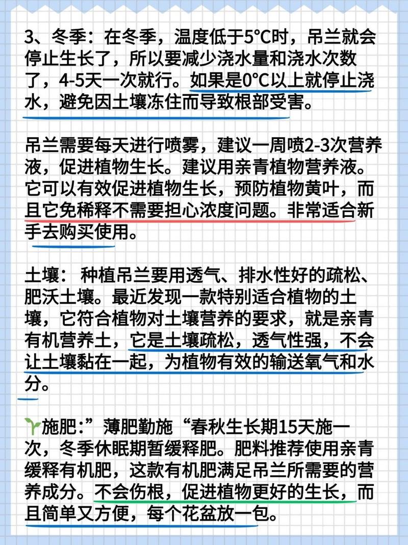 吊兰怎么养长得好(吊兰怎么养更旺盛)-第1张图片-花花知道网 吊兰怎么养长得好(吊兰怎么养更旺盛)-第1张图片-花花知道网