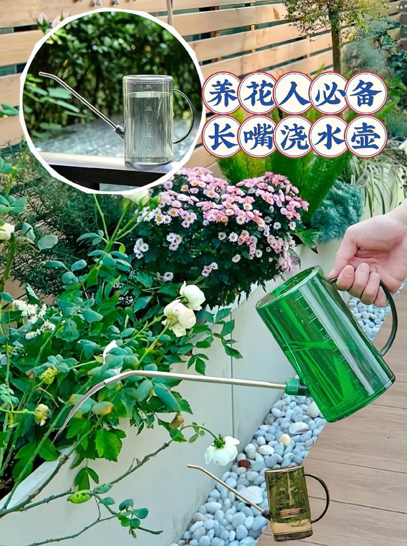 用这些水浇花(可以用什么水浇花)-第1张图片-花花知道网 用这些水浇花(可以用什么水浇花)-第1张图片-花花知道网