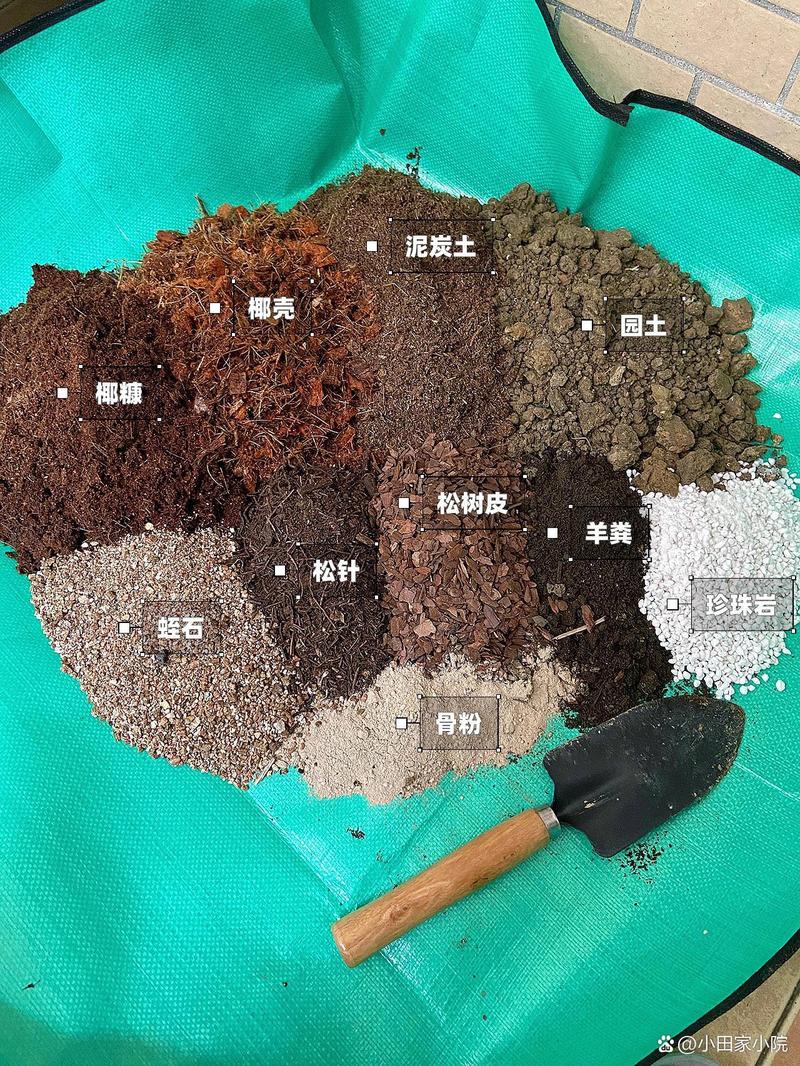 养花就用这种土(养花到底用啥土比较好)-第4张图片-花花知道网 养花就用这种土(养花到底用啥土比较好)-第4张图片-花花知道网