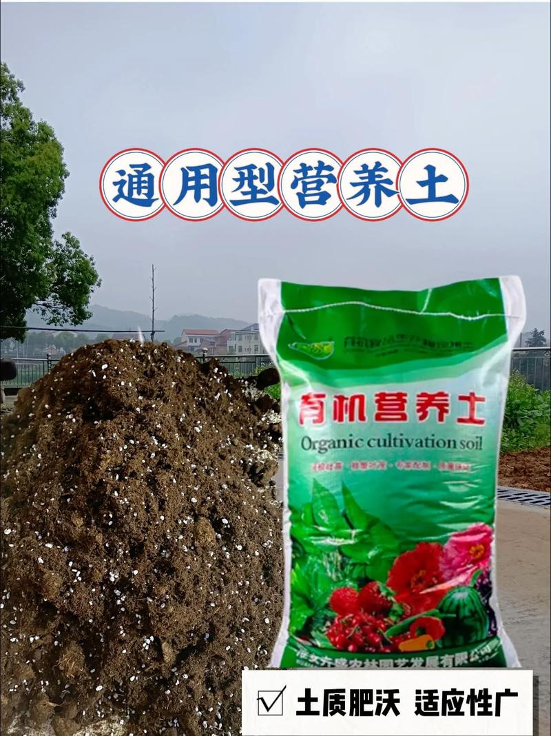 养花就用这种土(养花到底用啥土比较好)-第6张图片-花花知道网 养花就用这种土(养花到底用啥土比较好)-第6张图片-花花知道网