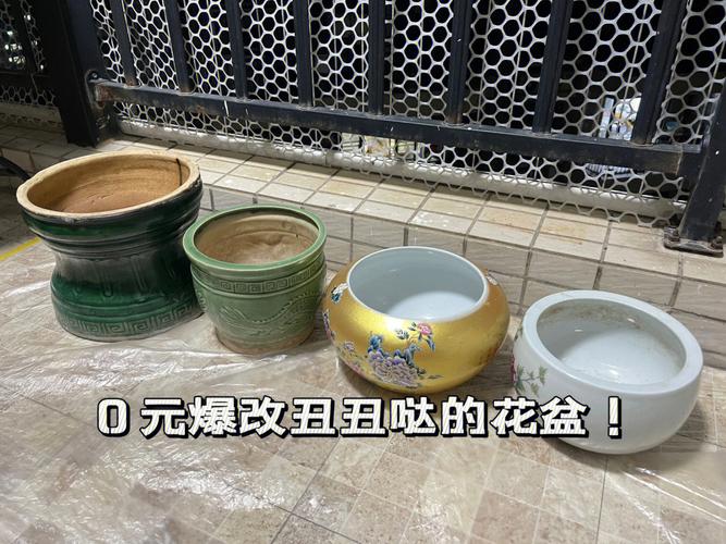 买的花盆又贵又难看(买的花盆不透气怎么办)-第8张图片-花花知道网 买的花盆又贵又难看(买的花盆不透气怎么办)-第8张图片-花花知道网