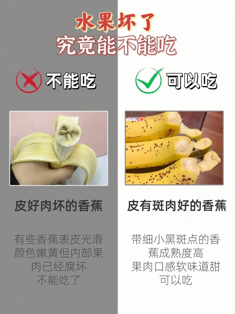 家里的花“吃”了香蕉皮之后疯长(香蕉花皮是怎么回事)-第6张图片-花花知道网 家里的花“吃”了香蕉皮之后疯长(香蕉花皮是怎么回事)-第6张图片-花花知道网