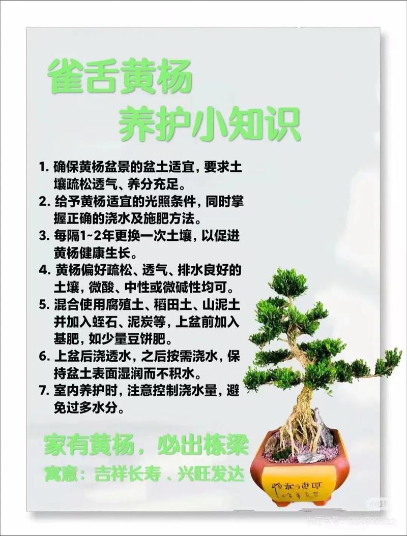换盆的最佳时期到了(换盆过程)-第2张图片-花花知道网 换盆的最佳时期到了(换盆过程)-第2张图片-花花知道网