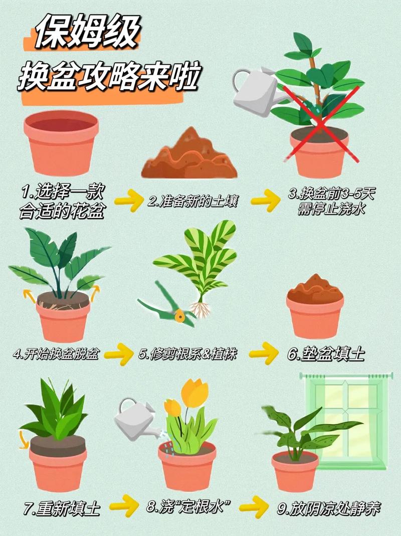 换盆的最佳时期到了(换盆过程)-第8张图片-花花知道网 换盆的最佳时期到了(换盆过程)-第8张图片-花花知道网