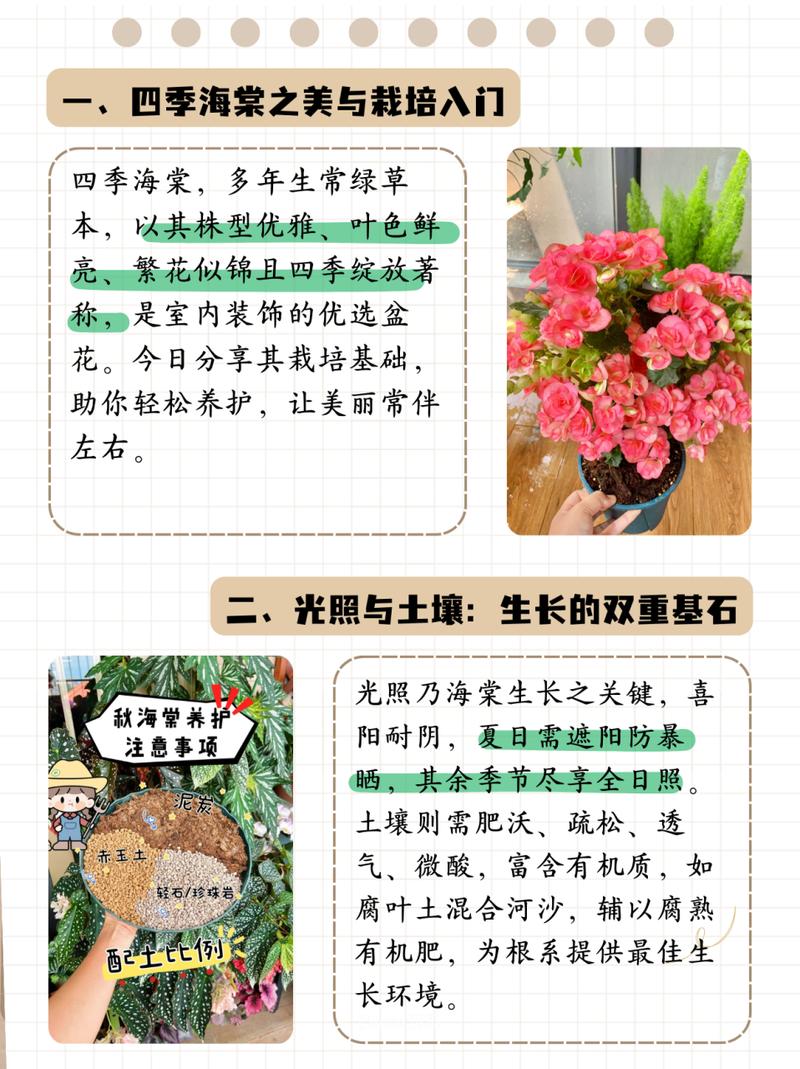 海棠花秋天怎么养(海棠花秋季怎么修剪)-第2张图片-花花知道网 海棠花秋天怎么养(海棠花秋季怎么修剪)-第2张图片-花花知道网