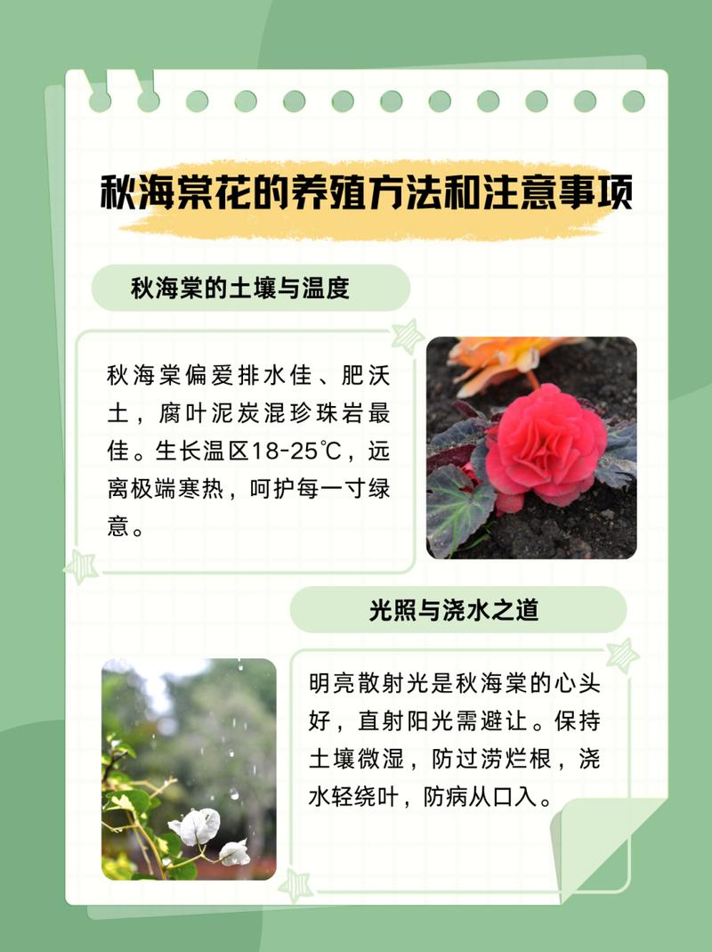 海棠花秋天怎么养(海棠花秋季怎么修剪)-第5张图片-花花知道网 海棠花秋天怎么养(海棠花秋季怎么修剪)-第5张图片-花花知道网