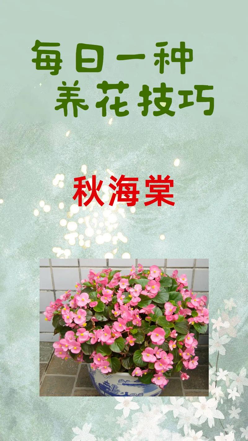 海棠花秋天怎么养(海棠花秋季怎么修剪)-第6张图片-花花知道网 海棠花秋天怎么养(海棠花秋季怎么修剪)-第6张图片-花花知道网
