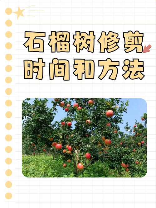 石榴花秋天怎么养(石榴花夏季如何养护)-第1张图片-花花知道网 石榴花秋天怎么养(石榴花夏季如何养护)-第1张图片-花花知道网