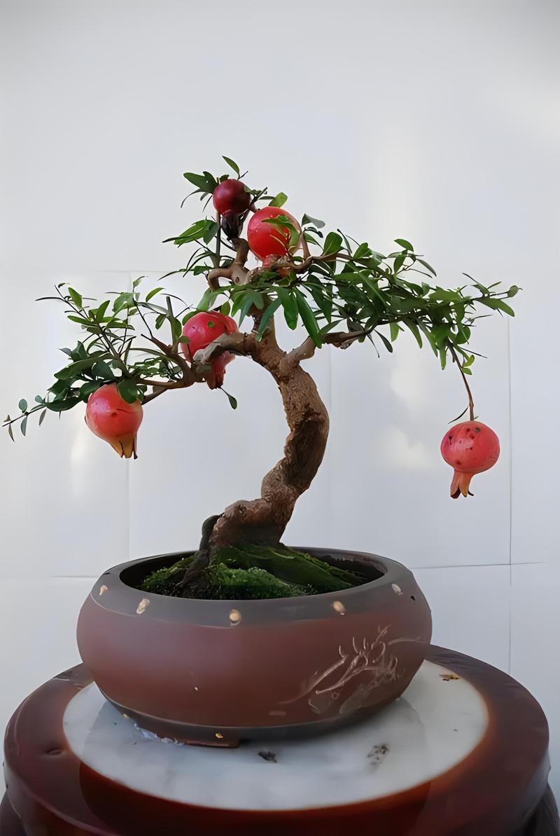石榴花秋天怎么养(石榴花夏季如何养护)-第4张图片-花花知道网 石榴花秋天怎么养(石榴花夏季如何养护)-第4张图片-花花知道网