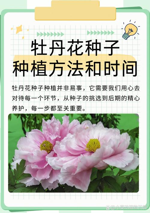 鲁菏红的繁殖方法(鲁硕红是一季花吗)-第1张图片-花花知道网 鲁菏红的繁殖方法(鲁硕红是一季花吗)-第1张图片-花花知道网