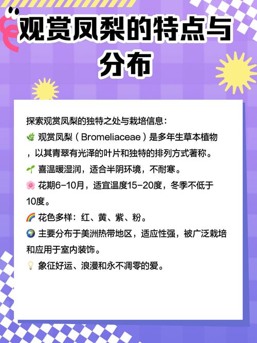 观赏凤梨不会繁殖(凤梨如何繁殖)-第2张图片-花花知道网 观赏凤梨不会繁殖(凤梨如何繁殖)-第2张图片-花花知道网