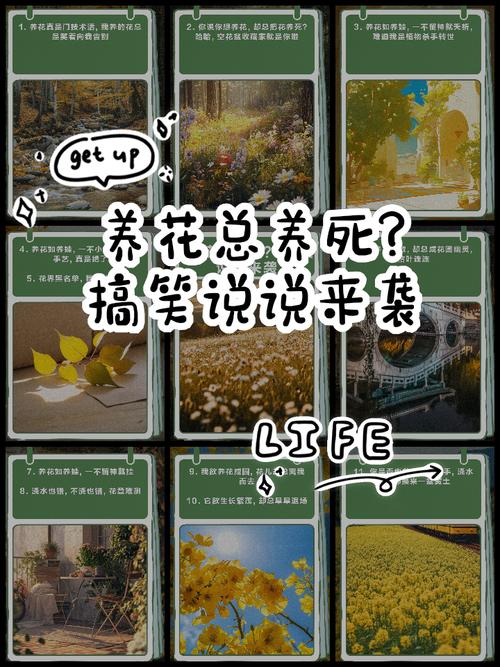 家里花总养不好(家里花养不好会死,什么原因导致的把花养好)-第3张图片-花花知道网 家里花总养不好(家里花养不好会死,什么原因导致的把花养好)-第3张图片-花花知道网