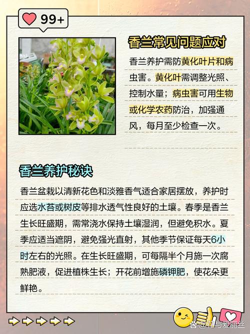 香兰怎么养护(瑞香的养护方法和管理)-第2张图片-花花知道网 香兰怎么养护(瑞香的养护方法和管理)-第2张图片-花花知道网