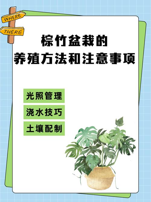 棕竹怎么浇水(棕竹浇水周期)-第1张图片-花花知道网 棕竹怎么浇水(棕竹浇水周期)-第1张图片-花花知道网