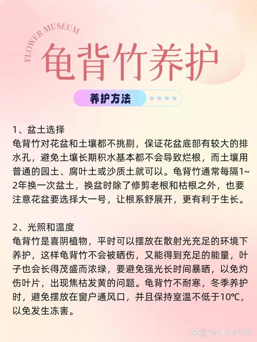龟背竹怎么养的好(龟背竹要怎么养)-第4张图片-花花知道网 龟背竹怎么养的好(龟背竹要怎么养)-第4张图片-花花知道网