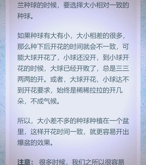 风雨兰怎么爆盆(风雨兰怎样养)-第5张图片-花花知道网 风雨兰怎么爆盆(风雨兰怎样养)-第5张图片-花花知道网