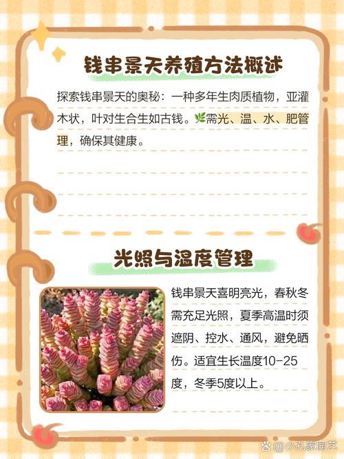 钱串的养殖方法和注意事项（多肉钱串的养殖方法和注意事项）-第2张图片-花花知道网