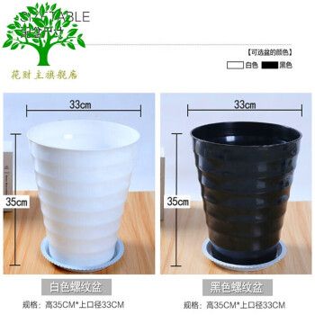 发财树和榕树怎么养(榕树盆景和发财树的区别)-第2张图片-花花知道网 发财树和榕树怎么养(榕树盆景和发财树的区别)-第2张图片-花花知道网