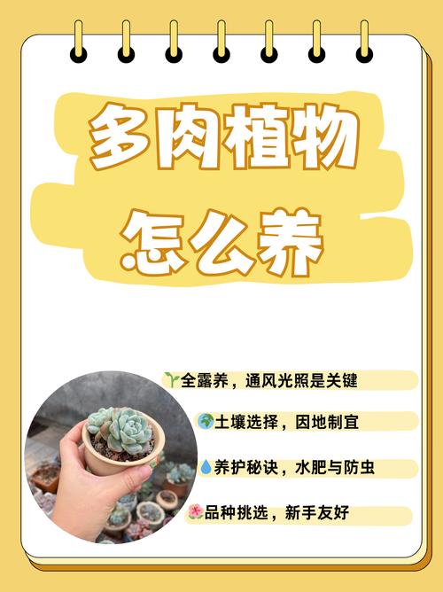 一见多肉误终生(看见多肉植物就想捏爆)-第1张图片-花花知道网 一见多肉误终生(看见多肉植物就想捏爆)-第1张图片-花花知道网