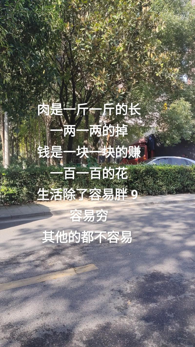 一见多肉误终生(看见多肉植物就想捏爆)-第4张图片-花花知道网 一见多肉误终生(看见多肉植物就想捏爆)-第4张图片-花花知道网