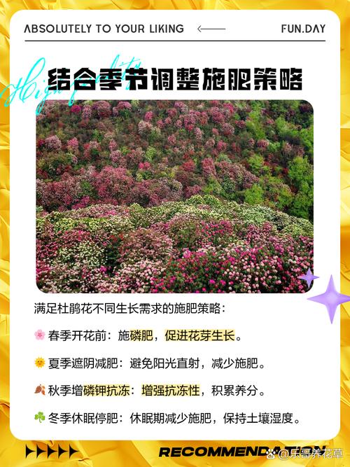 杜鹃花怎么施肥(杜鹃花怎么施肥才开花)-第1张图片-花花知道网 杜鹃花怎么施肥(杜鹃花怎么施肥才开花)-第1张图片-花花知道网