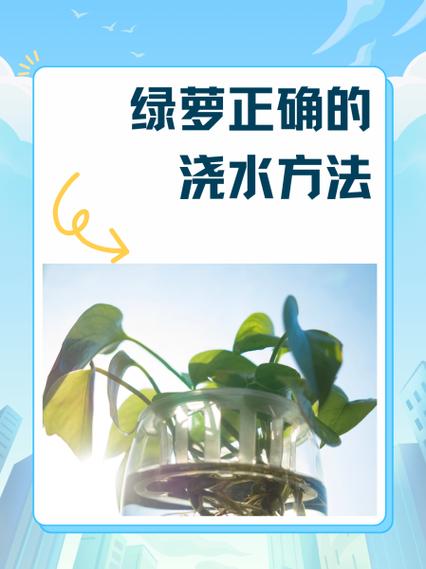 绿萝怎样正确浇水(绿萝要怎么样浇水)-第5张图片-花花知道网 绿萝怎样正确浇水(绿萝要怎么样浇水)-第5张图片-花花知道网