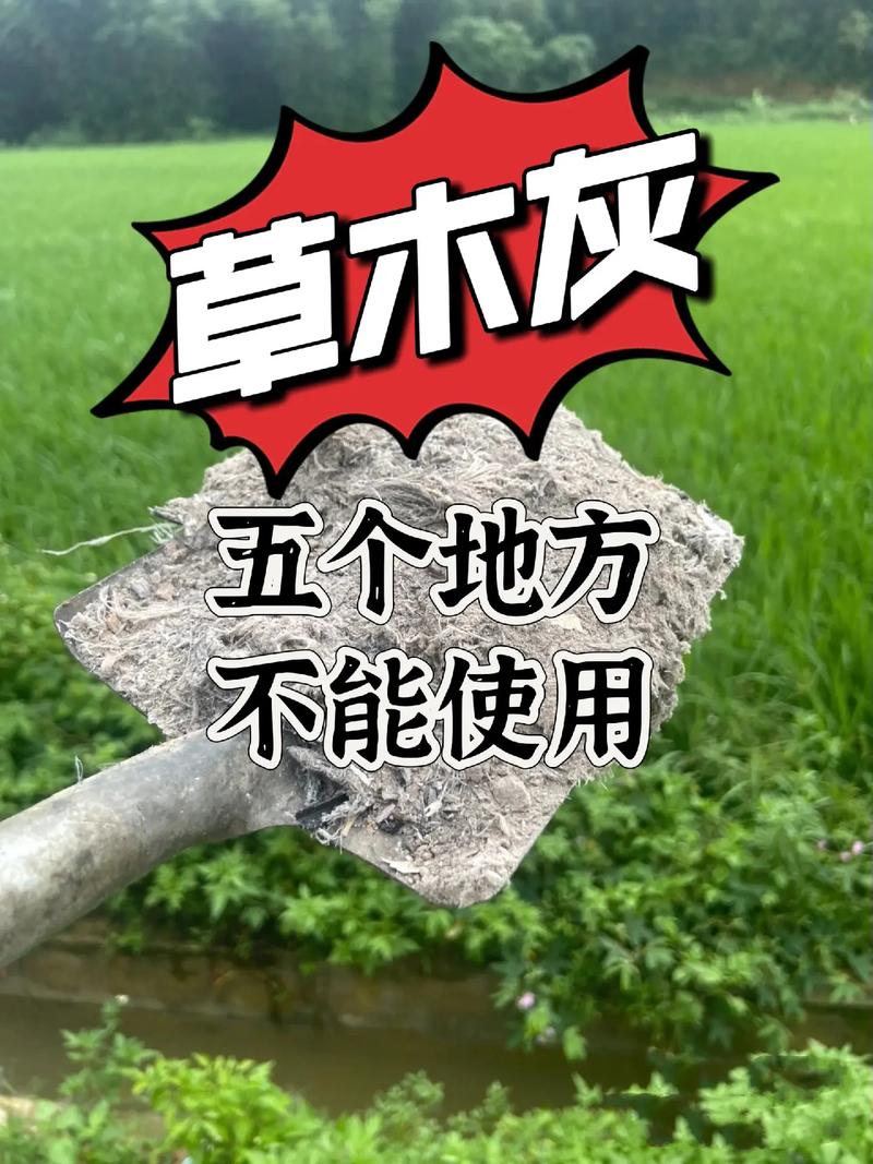栀子花可以用草木灰吗(栀子花可以用颗粒土吗)-第3张图片-花花知道网 栀子花可以用草木灰吗(栀子花可以用颗粒土吗)-第3张图片-花花知道网