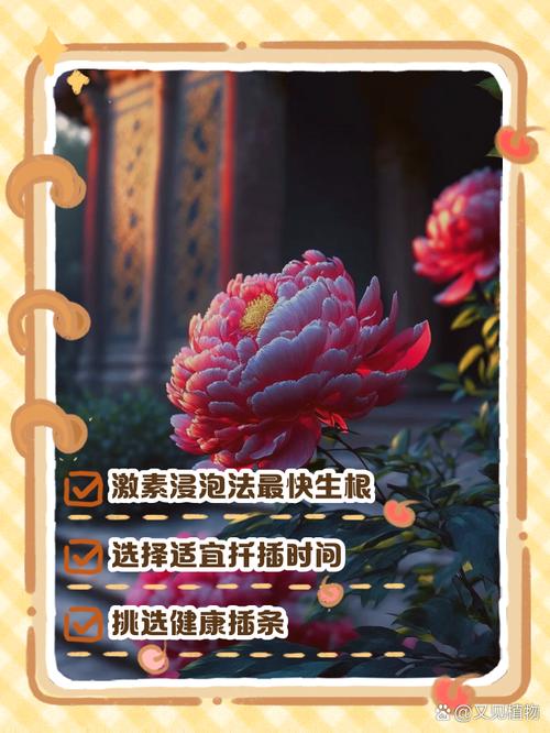 天冷扦插生根慢(扦插生根最适宜温度)-第3张图片-花花知道网 天冷扦插生根慢(扦插生根最适宜温度)-第3张图片-花花知道网
