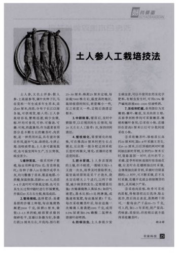 土人参怎么种(土人参怎么种植)-第3张图片-花花知道网 土人参怎么种(土人参怎么种植)-第3张图片-花花知道网