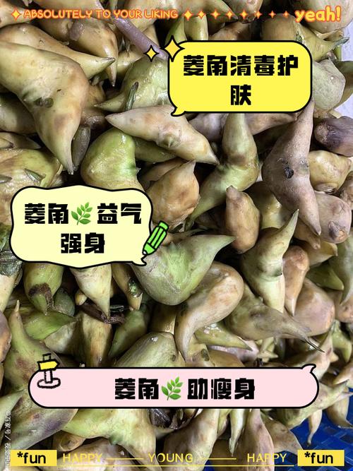牛角菱怎么种植（牛角菱怎么生长的）-第4张图片-花花知道网
