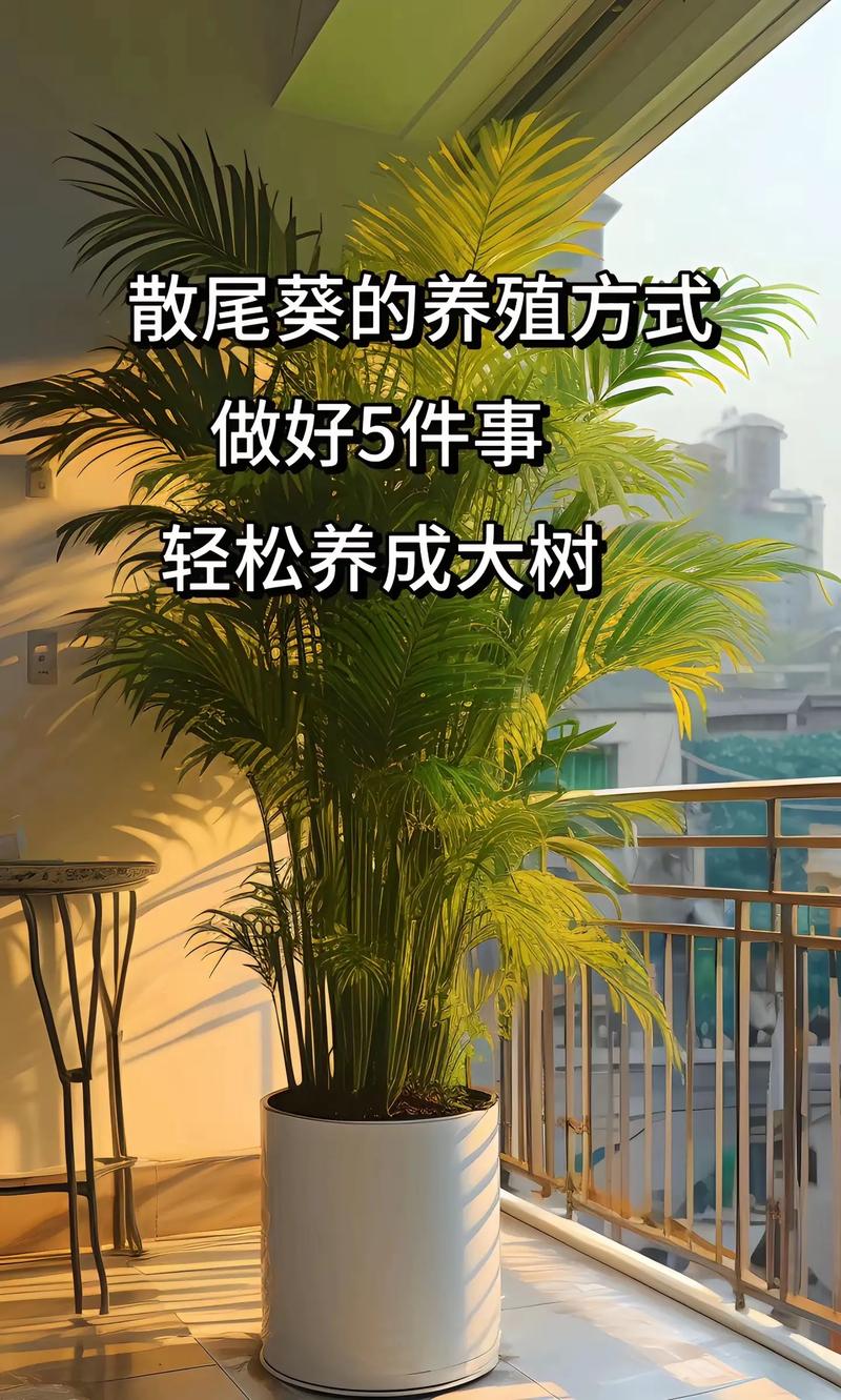 散尾葵如何换盆(散尾葵换盆后缓苗多长时间)-第3张图片-花花知道网 散尾葵如何换盆(散尾葵换盆后缓苗多长时间)-第3张图片-花花知道网