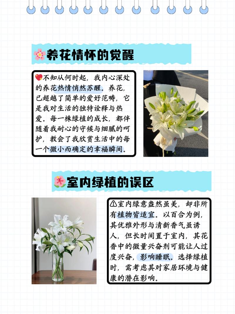 百合花能在室内养吗(百合花能室内栽养吗)-第2张图片-花花知道网 百合花能在室内养吗(百合花能室内栽养吗)-第2张图片-花花知道网