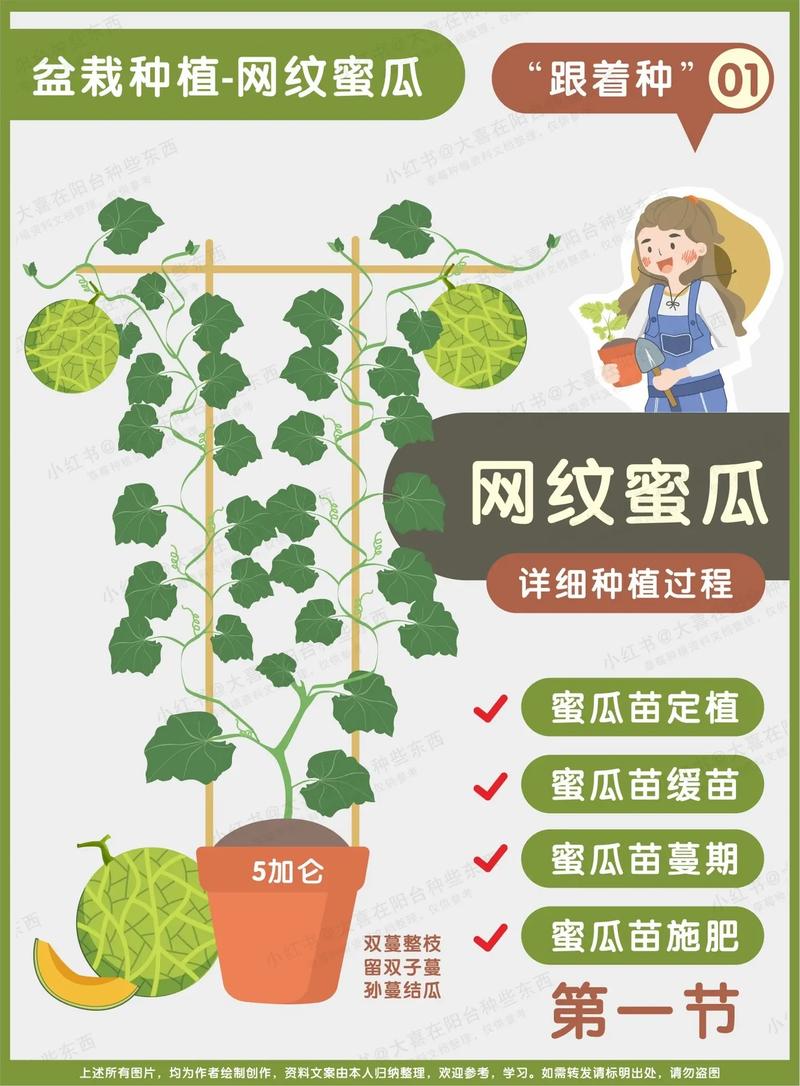 哈密瓜怎么种(哈密瓜怎么种植全过程)-第6张图片-花花知道网 哈密瓜怎么种(哈密瓜怎么种植全过程)-第6张图片-花花知道网