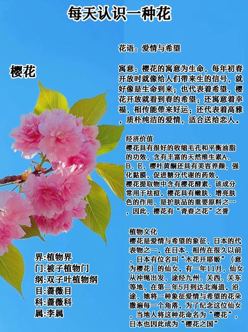 樱花开花前怎么养护(樱花树开花前施肥与浇水技巧)-第3张图片-花花知道网 樱花开花前怎么养护(樱花树开花前施肥与浇水技巧)-第3张图片-花花知道网