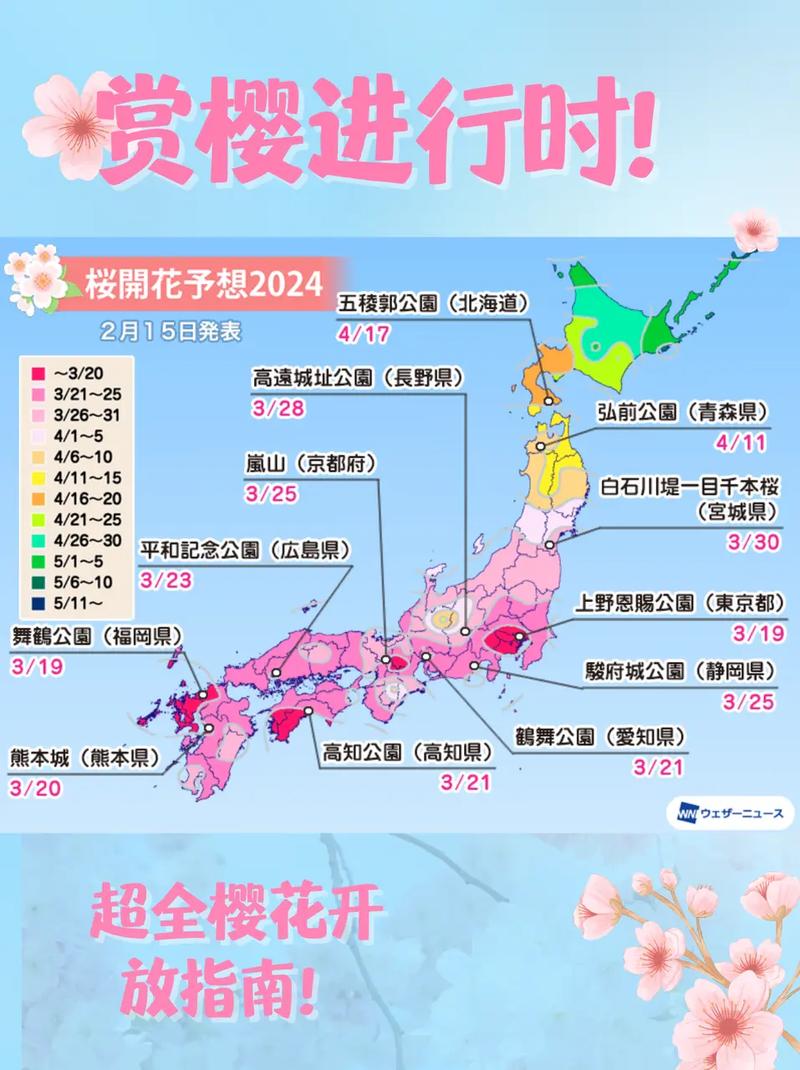 樱花开花前怎么养护(樱花树开花前施肥与浇水技巧)-第8张图片-花花知道网 樱花开花前怎么养护(樱花树开花前施肥与浇水技巧)-第8张图片-花花知道网