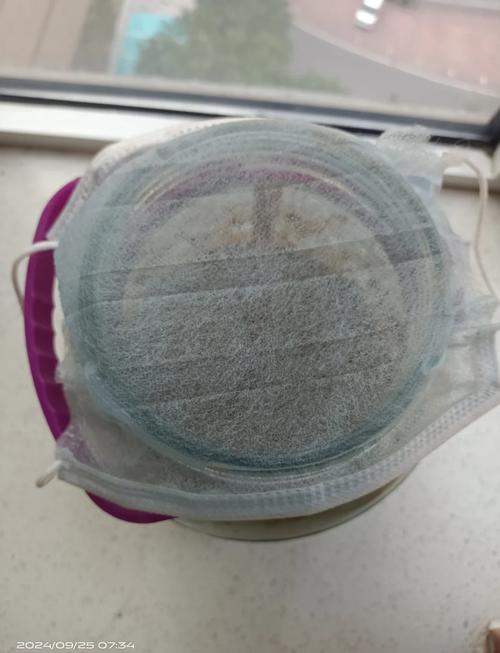 一把豆子撒瓶里(把一袋豆子倒入一个空桶讲解)-第1张图片-花花知道网 一把豆子撒瓶里(把一袋豆子倒入一个空桶讲解)-第1张图片-花花知道网