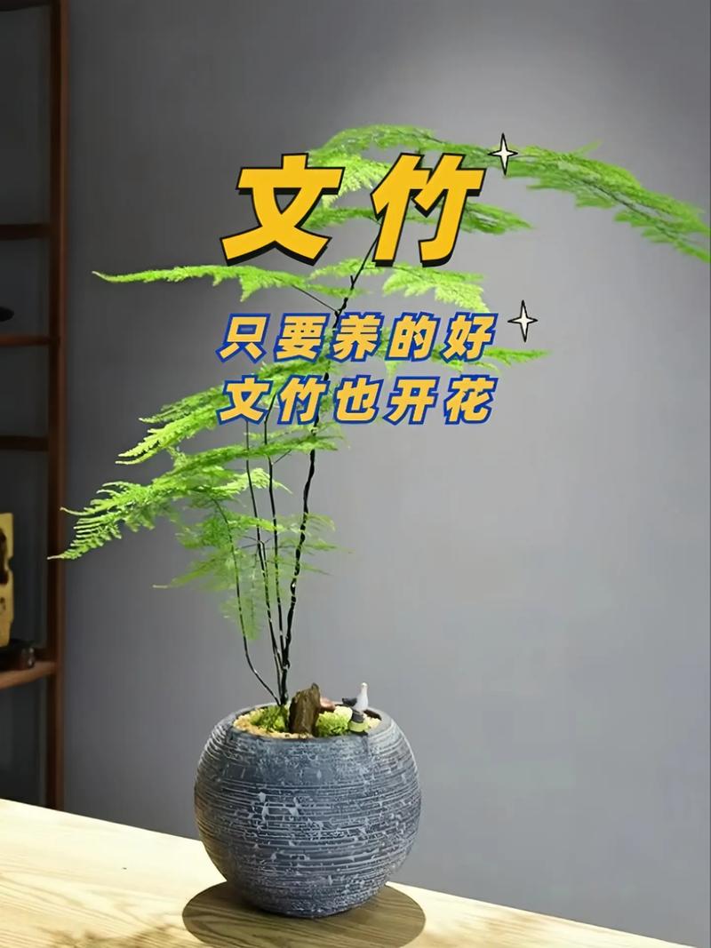 马蹄莲冬天怎么养(马蹄莲冬天怎么养才能安全过冬?)-第5张图片-花花知道网 马蹄莲冬天怎么养(马蹄莲冬天怎么养才能安全过冬?)-第5张图片-花花知道网