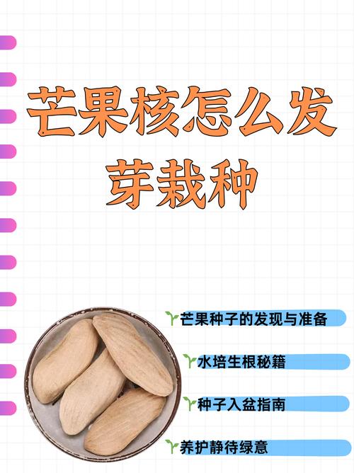 芒果核怎么种盆栽(芒果核怎样栽种)-第5张图片-花花知道网 芒果核怎么种盆栽(芒果核怎样栽种)-第5张图片-花花知道网