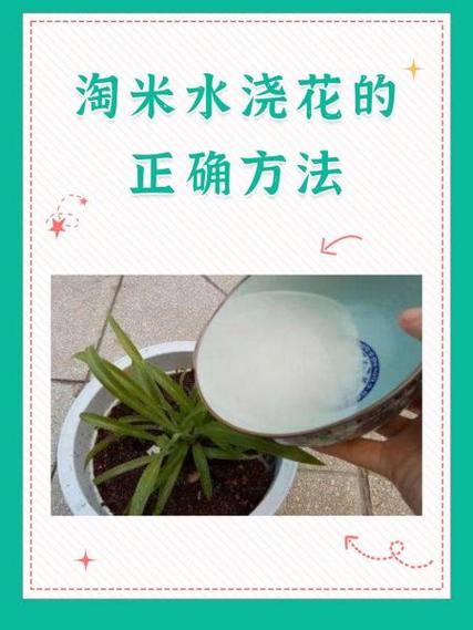 栀子花可以浇淘米水吗(栀子花能浇水吗)-第3张图片-花花知道网 栀子花可以浇淘米水吗(栀子花能浇水吗)-第3张图片-花花知道网