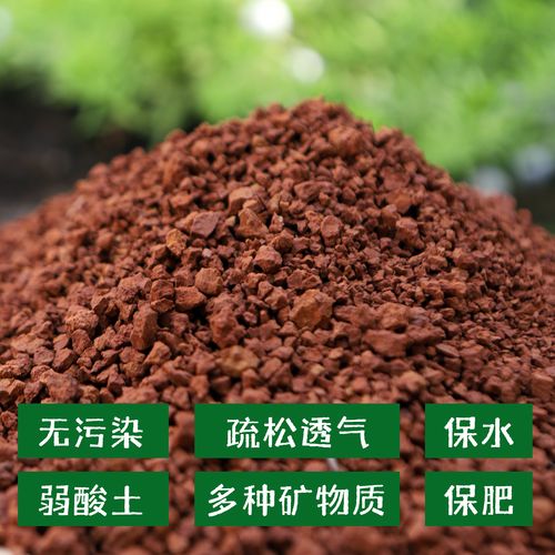 清香木用什么土养好(清香木用什么土壤种植比较好)-第4张图片-花花知道网 清香木用什么土养好(清香木用什么土壤种植比较好)-第4张图片-花花知道网