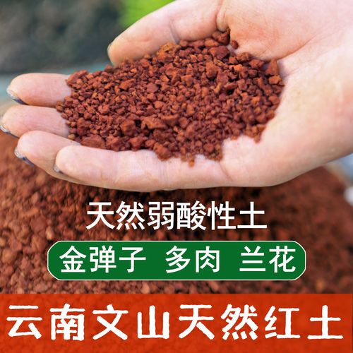 清香木用什么土养好(清香木用什么土壤种植比较好)-第5张图片-花花知道网 清香木用什么土养好(清香木用什么土壤种植比较好)-第5张图片-花花知道网