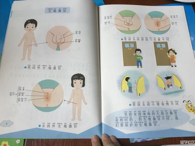 绿宝石喜林芋的繁殖方式(绿宝石喜林芋叶子发黄是为啥)-第1张图片-花花知道网 绿宝石喜林芋的繁殖方式(绿宝石喜林芋叶子发黄是为啥)-第1张图片-花花知道网