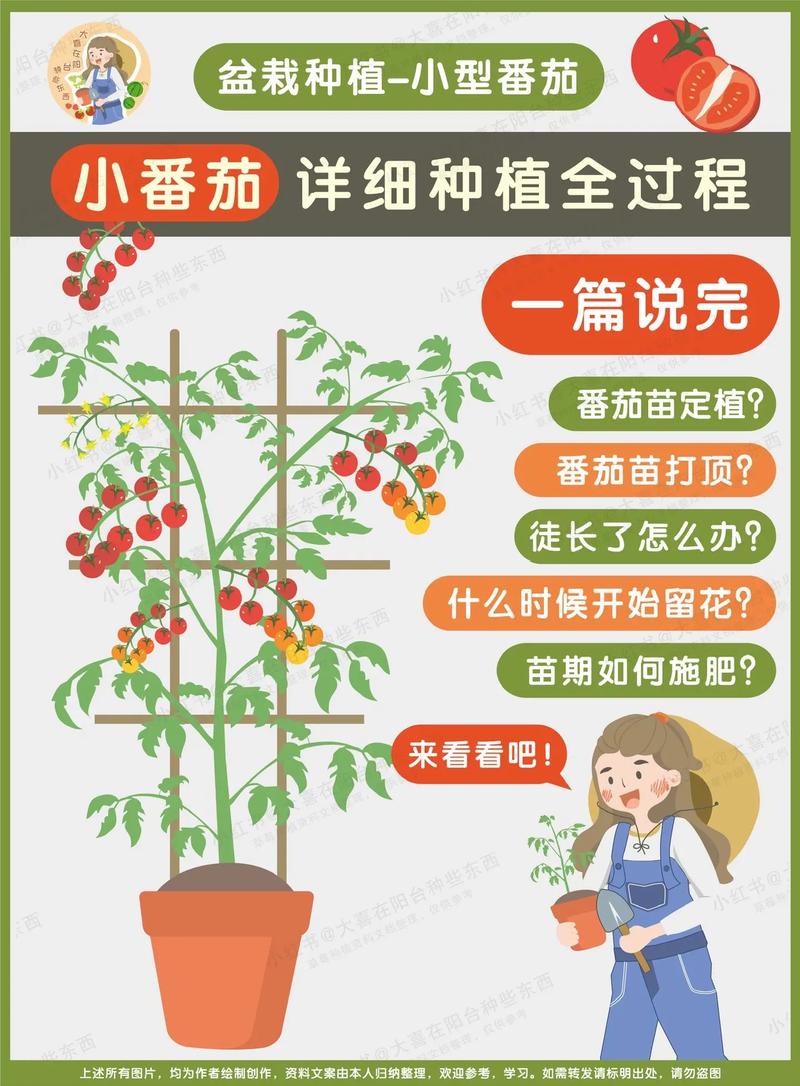 怎么种植番茄(怎么种植番茄种子视频)-第1张图片-花花知道网 怎么种植番茄(怎么种植番茄种子视频)-第1张图片-花花知道网