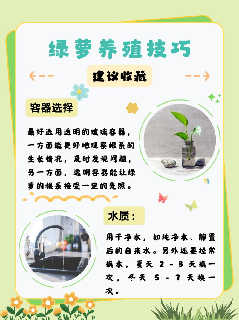 绿萝的养殖方法(养绿萝的前十坏处)-第4张图片-花花知道网 绿萝的养殖方法(养绿萝的前十坏处)-第4张图片-花花知道网